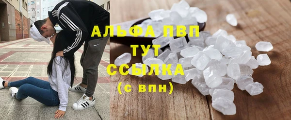 СК Волоколамск